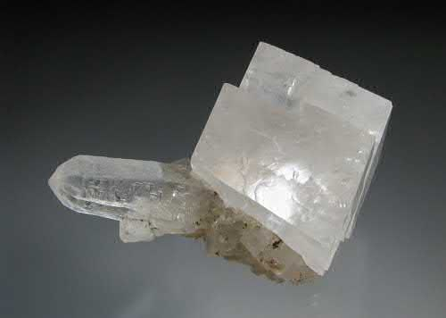 Article illustration