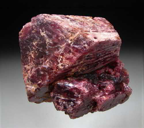 Article illustration