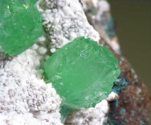 Article illustration