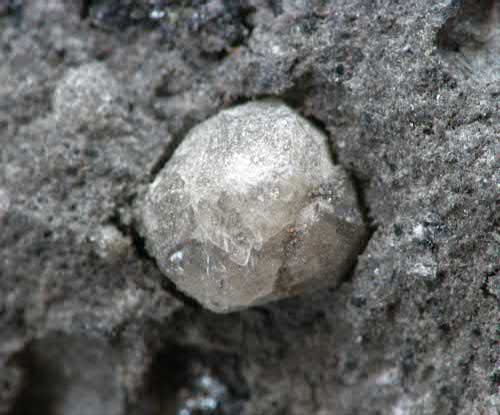 Article illustration