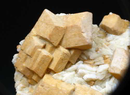 Article illustration