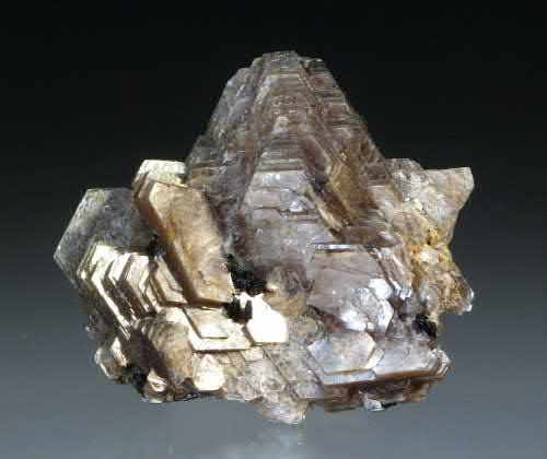 Article illustration