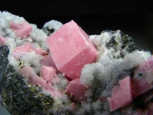 Article illustration