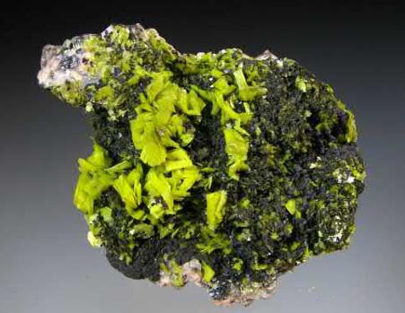 Article illustration