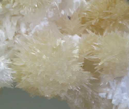 FIGURE 3 Article illustration