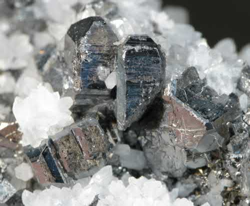 Article illustration