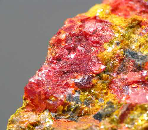 Article illustration