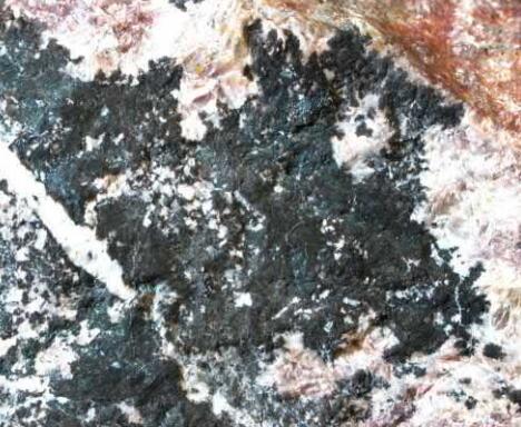 Article illustration