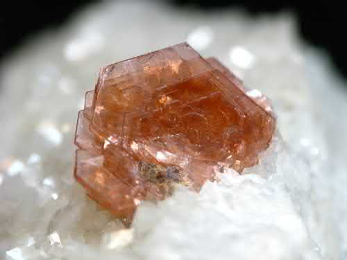 Article illustration