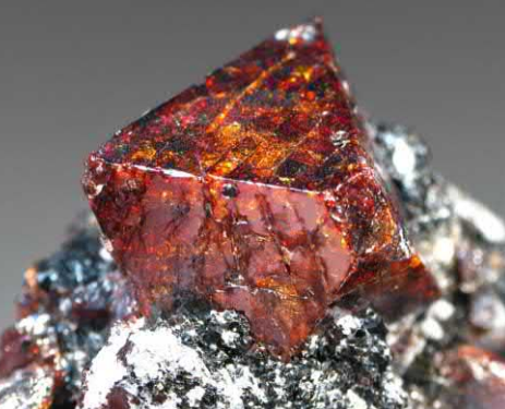 Article illustration