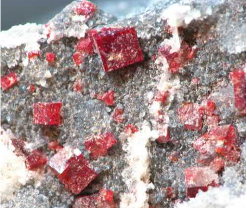 Article illustration