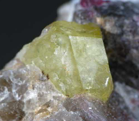 Article illustration