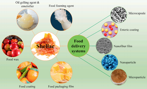 41468-25-1 Pyridoxal 5'-phosphate monohydrateSupplementsBenefits