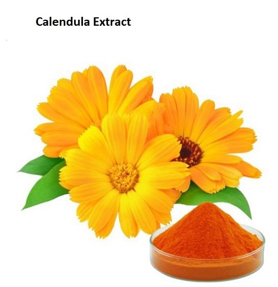 金盏花(CALENDULA OFFICINALIS)花提取物