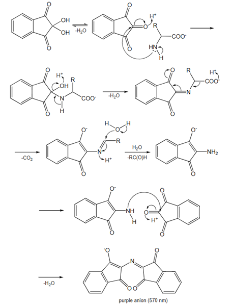 Reaction mechanism of Ninhydrin hydrate Article illustration