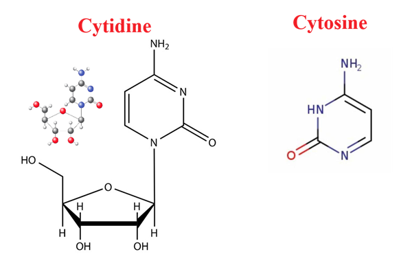 108-91-8 Cyclohexylamine ;pollutant; Application