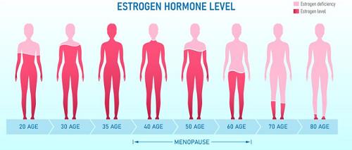 Article illustration