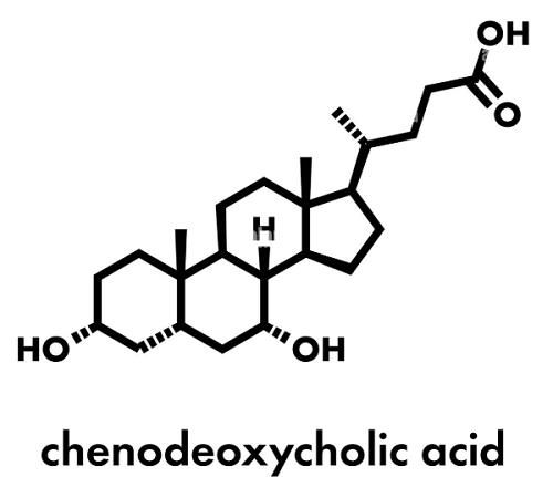 Chemical Structure of Chenodeoxycholic acid.png Article illustration