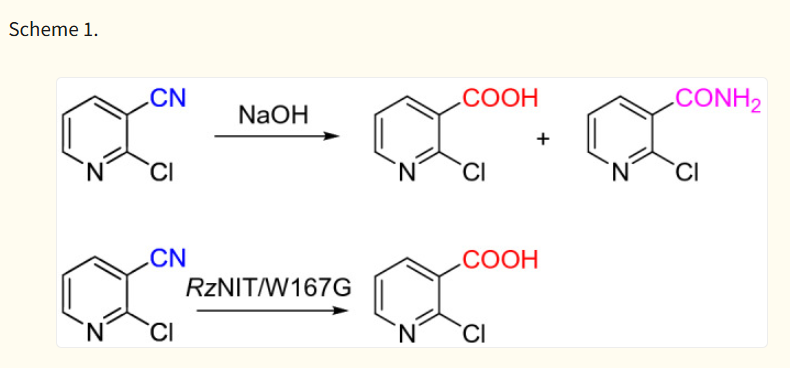 Article illustration