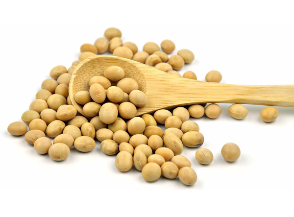 41468-25-1 Pyridoxal 5'-phosphate monohydrateSupplementsBenefits