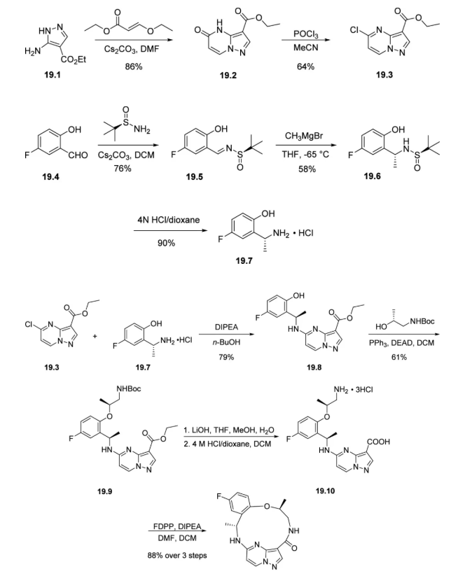 洛普替尼合成路线 洛普替尼合成路线