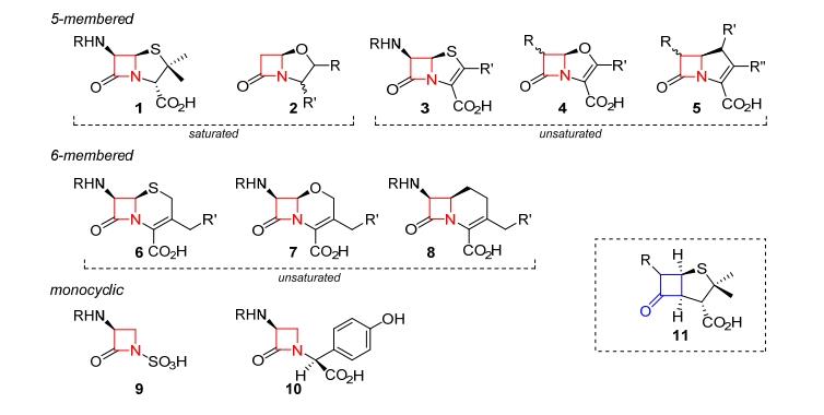 Article illustration