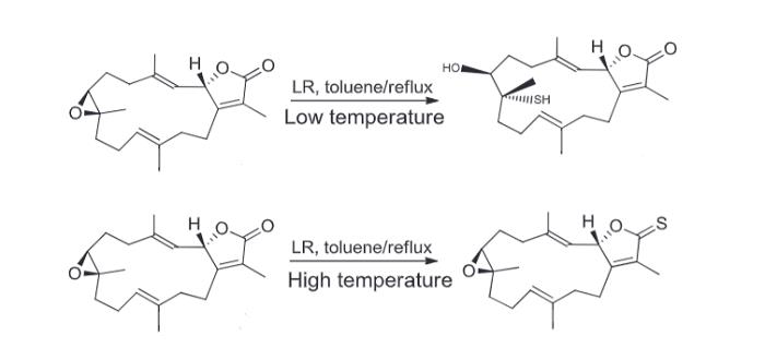 Article illustration