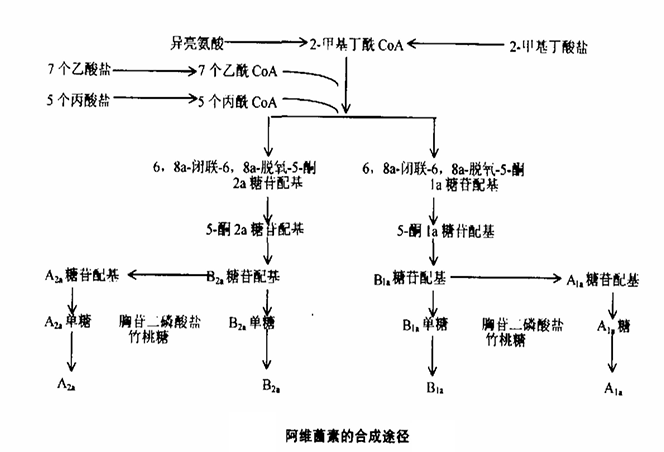 阿维菌素 阿维菌素