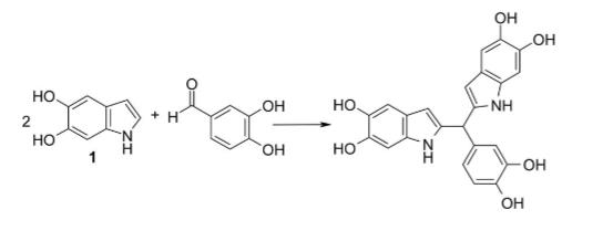 Reaction between 5,6-dihydroxyindole and 3,4-dihydroxybenzaldehyde Article illustration