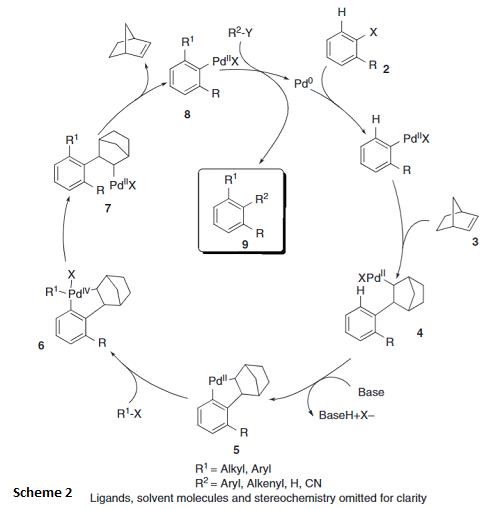 Scheme 2 Generalized reaction mechanism of the Catellani reaction Article illustration