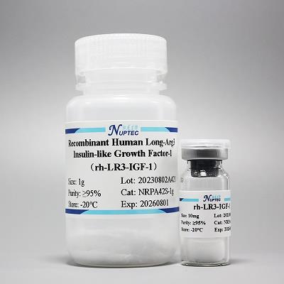 IGF-1 LR3冻干粉.jpg