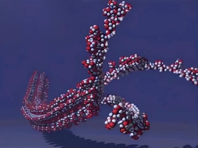 硬葡聚糖可视化三螺旋结构的图像 硬葡聚糖可视化三螺旋结构的图像