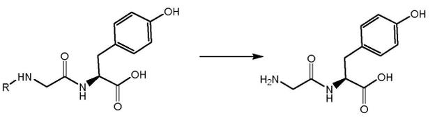 图2 甘氨酰-L-酪氨酸的合成反应式.png