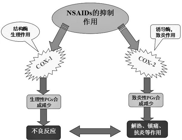 双氯芬酸钠作用机制