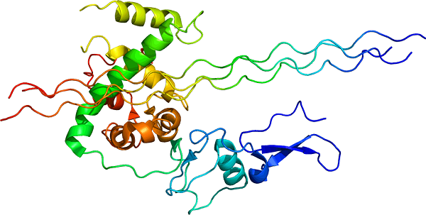 重组3型人源化胶原蛋白 重组3型人源化胶原蛋白