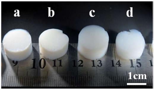 三乙酸纤维素气凝胶实物图 三乙酸纤维素气凝胶实物图