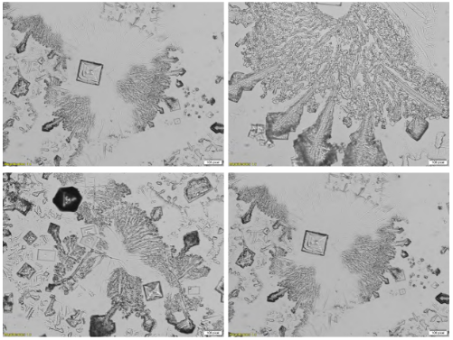 图4.葡萄糖/蔗糖复合添加剂制备得到的氯化钠晶体