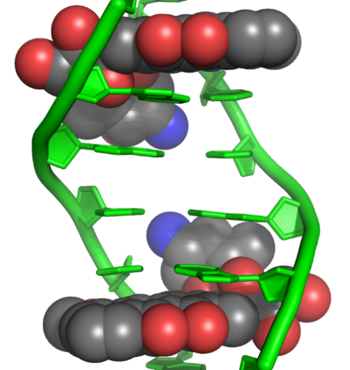 盐酸多柔比星作用机制