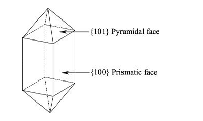 图1 磷酸二氢铵晶体形貌