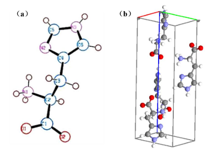 L-组氨酸晶型A晶胞结构图 L-组氨酸晶型A晶胞结构图