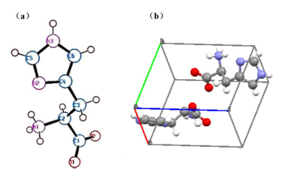 L-组氨酸晶型B晶胞结构图 L-组氨酸晶型B晶胞结构图