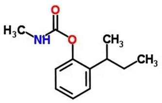 仲丁威的化学结构式 仲丁威的化学结构式