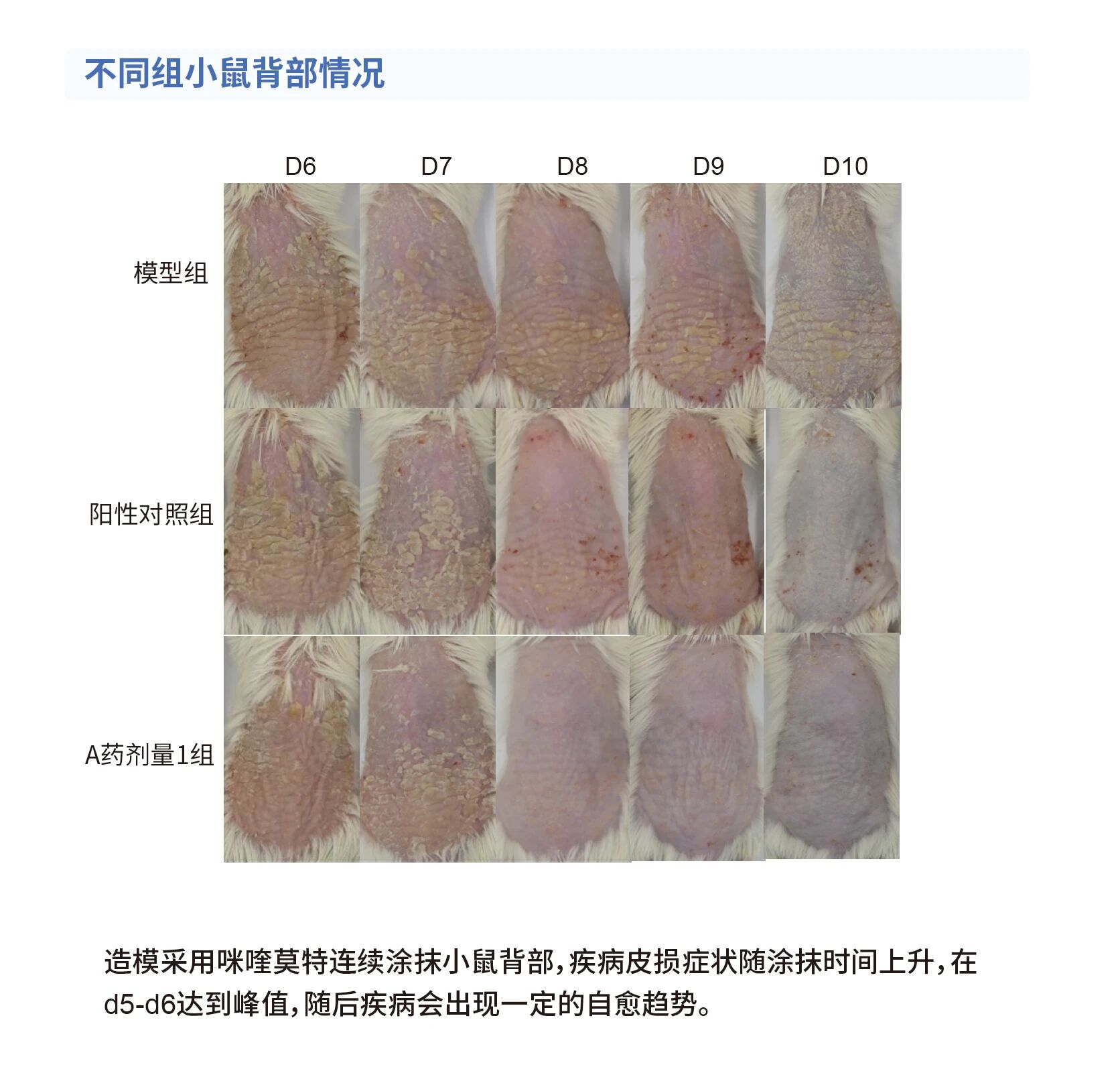 24d32a6efbf936b199048be978e46b7d.jpg 24d32a6efbf936b199048be978e46b7d.jpg