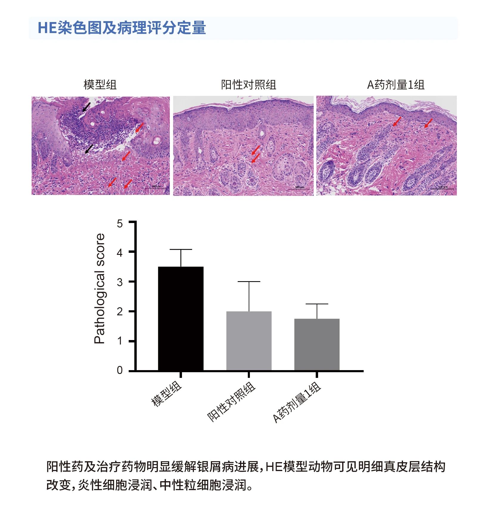 09fd7f7b836e74173ecbe08fdb17a688.jpg 09fd7f7b836e74173ecbe08fdb17a688.jpg
