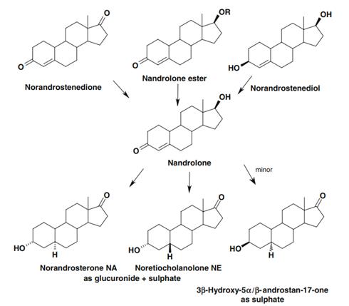 Article illustration