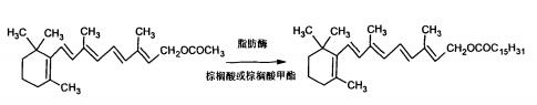脂肪酶催化合成维生素 A 棕榈酸酯