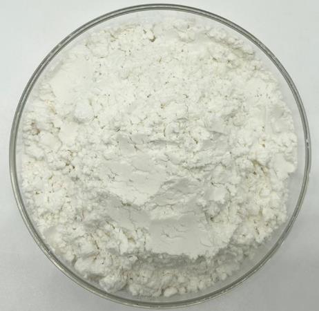 ISRIB(TRANS-ISOMER) 抑制剂 ISRIB(TRANS-ISOMER) 抑制剂