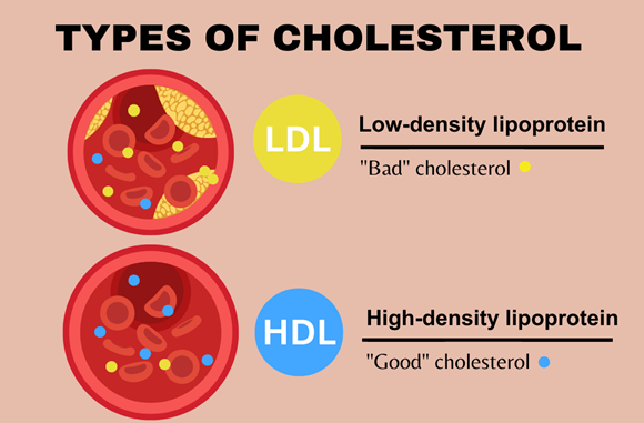 33089-61-1 Amitraz; Acaricide; Formamidine;insecticide;pesticide