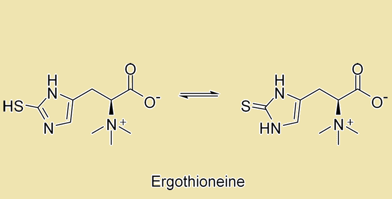 497-30-3 L-(+)-ErgothioneineCosmeticsApplication
