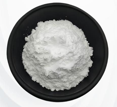 三尖杉酯碱的作用机理与活性研究